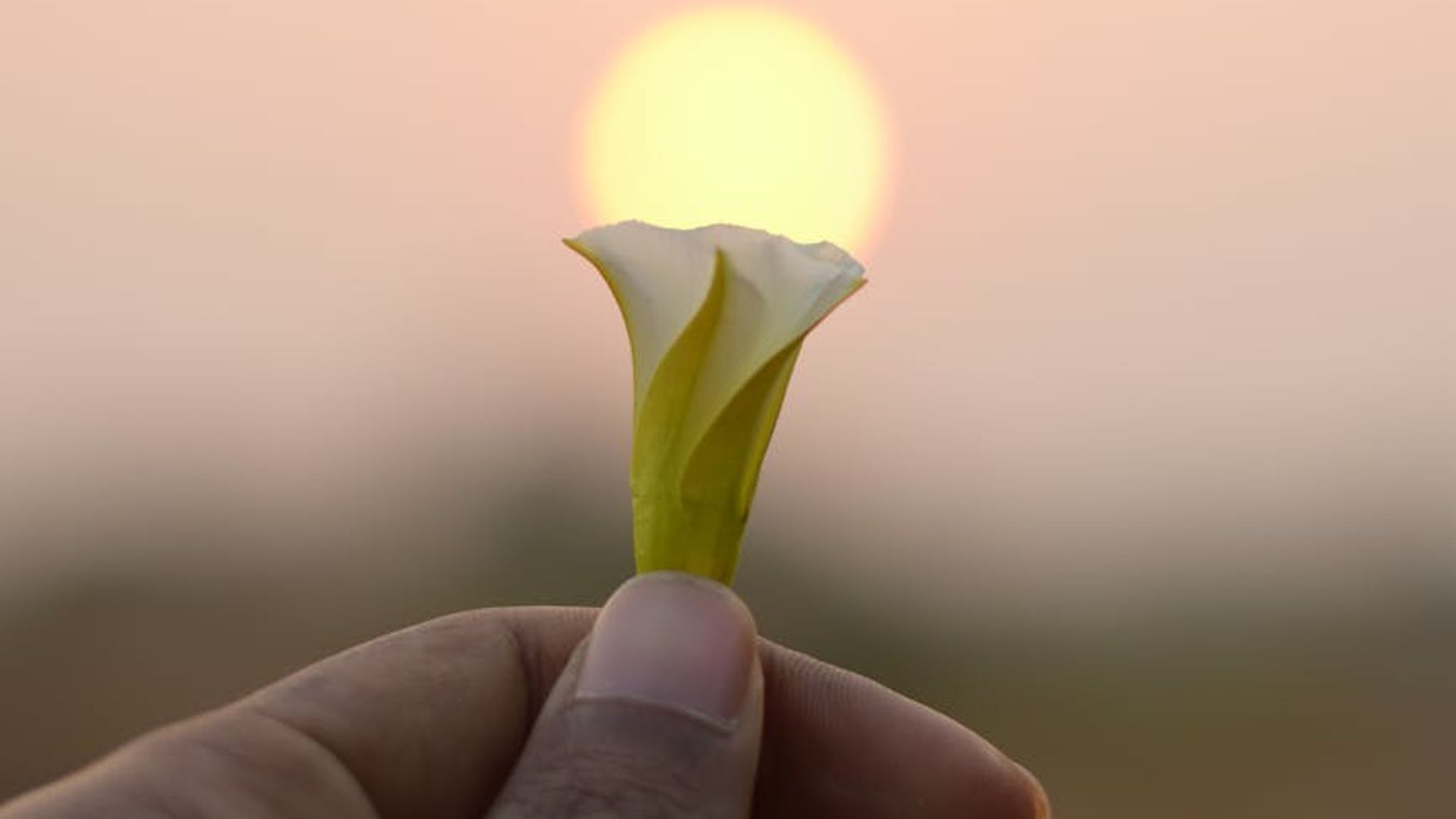 A serene landscape at dawn with soft light, evoking a sense of calm and new beginnings.